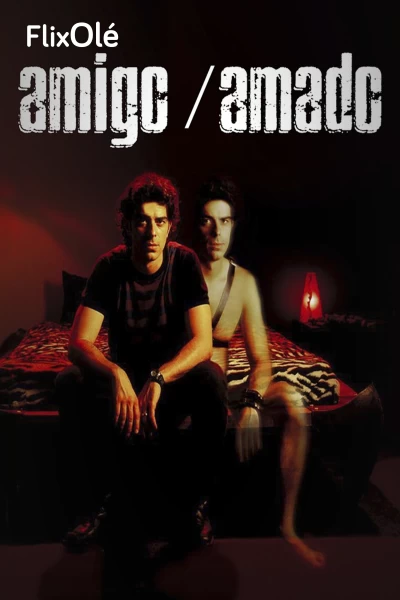 Amigo, amado