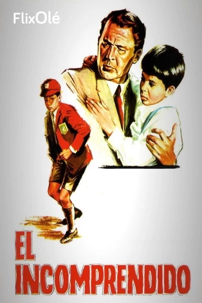 El incomprendido