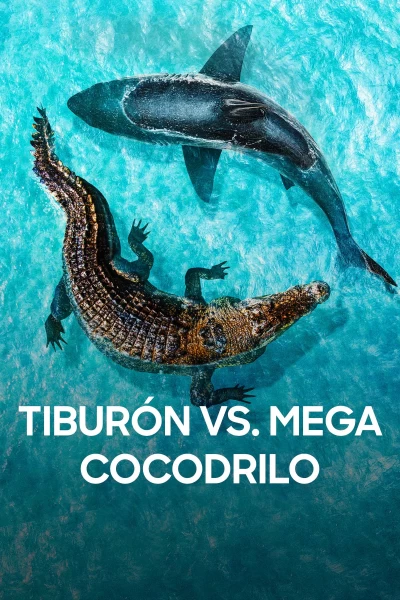 Tiburón vs. mega cocodrilo