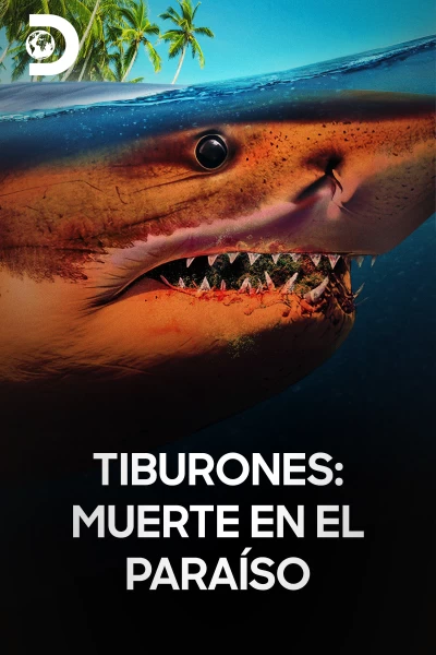 Tiburones: muerte en el paraíso