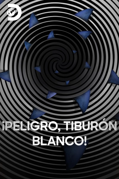 ¡Peligro, tiburón blanco!