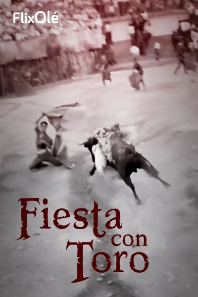 Fiestas con toro