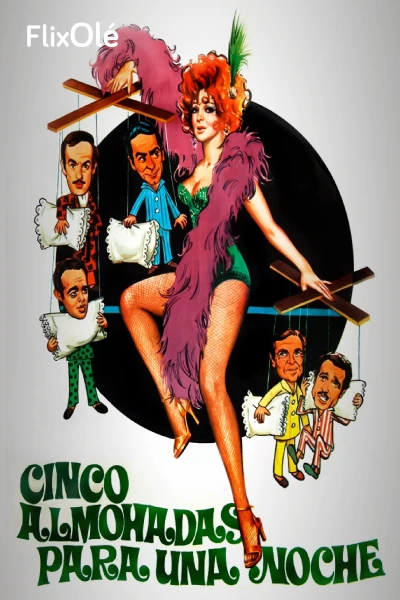 Cinco almohadas para una noche