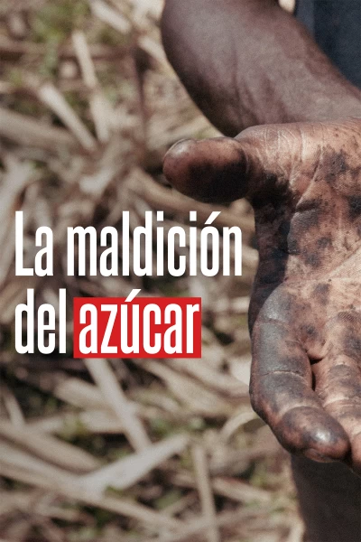 La maldición del azúcar