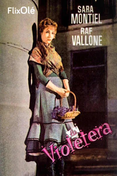 La violetera