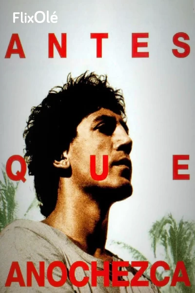 Antes que anochezca