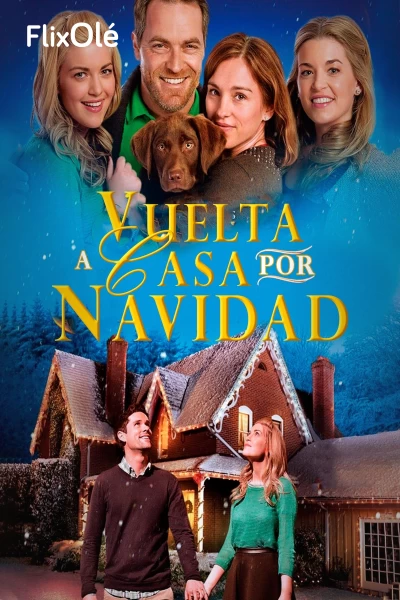 Vuelta a casa por Navidad