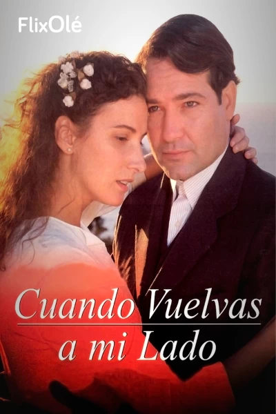 Cuando vuelvas a mi lado