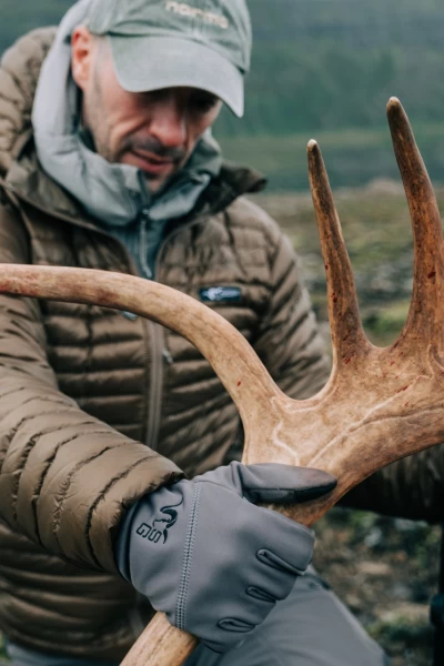 Única oportunidad. T(T2). Única oportunidad (T2): Caribúes y fiordos