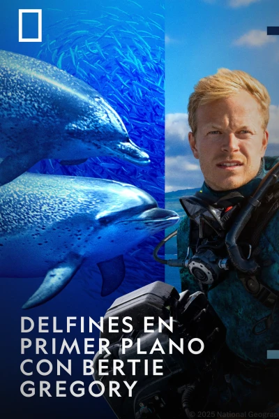 Delfines en primer plano con Bertie Gregory