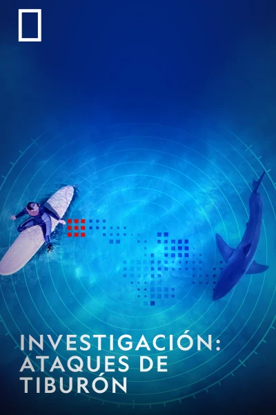 Investigación: ataques de tiburón