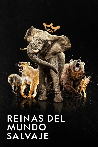 Reinas del mundo salvaje