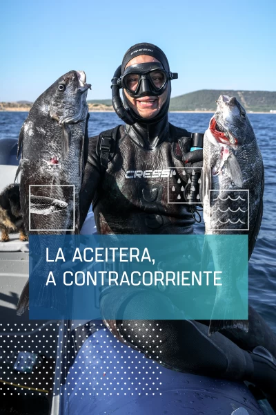 La Aceitera, contra corriente