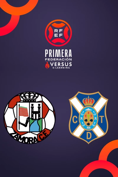 Jornada 20. Jornada 20: Zamora - Tenerife