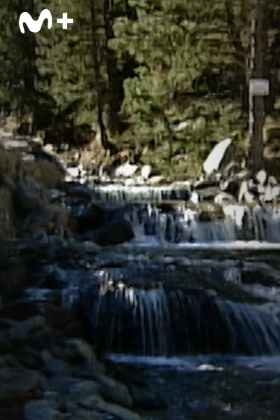 Tor: una historia de Carles Porta. Tor: una historia de...: Palanca