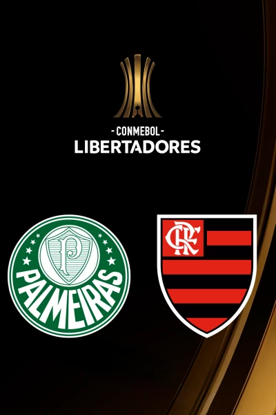 Final. Final: Palmeiras - Flamengo
