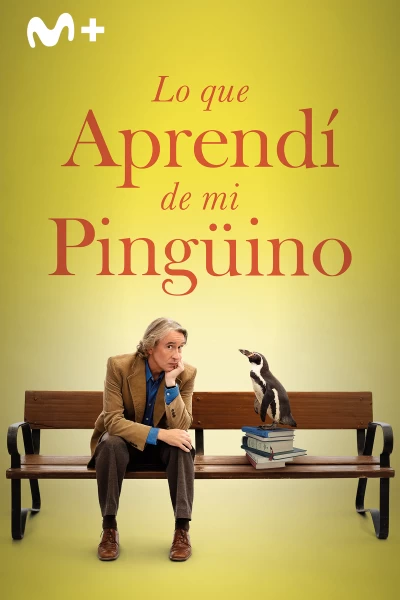 Lo que aprendí de mi pingüino