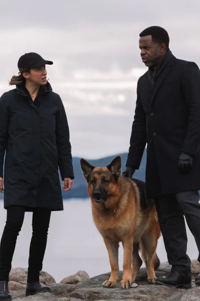 Hudson & Rex. T(T3). Hudson & Rex (T3): Ep.12 Perro jefe