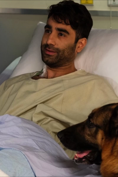 Hudson & Rex. T(T4). Hudson y Rex (T4): Ep.14 Hagan hueso