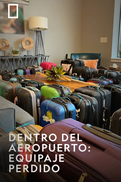 Dentro del aeropuerto: equipaje perdido