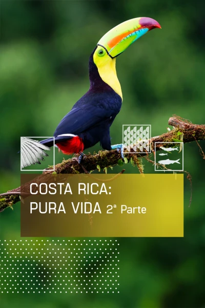 Costa Rica: Pura Vida 2