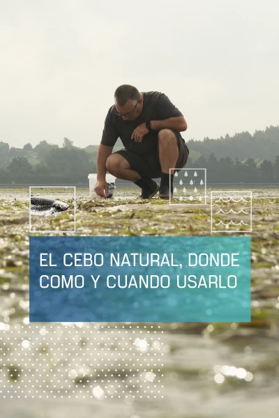 El cebo natural: donde, cómo y cuándo usarlo