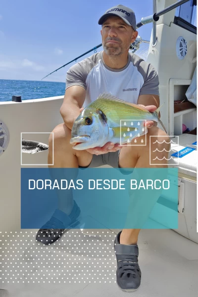 Doradas desde barco