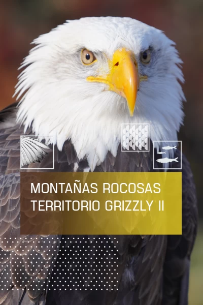 Montañas rocosas, territorio grizzly 2