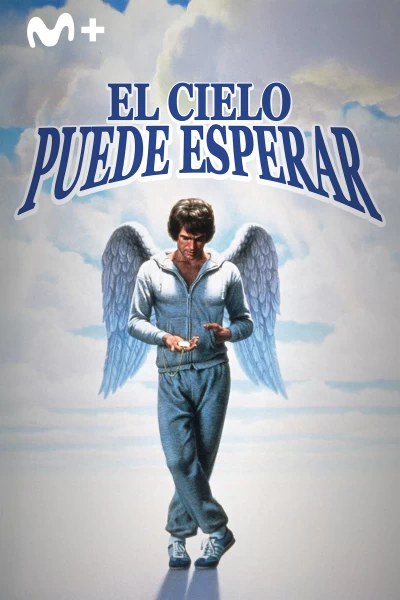 El cielo puede esperar