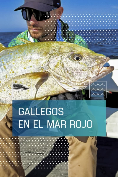 Gallegos en el Mar Rojo
