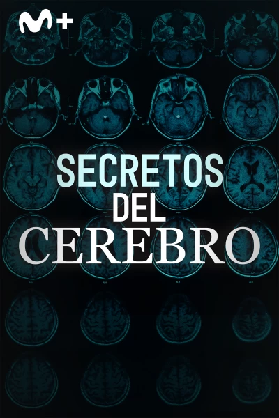 Secretos del cerebro