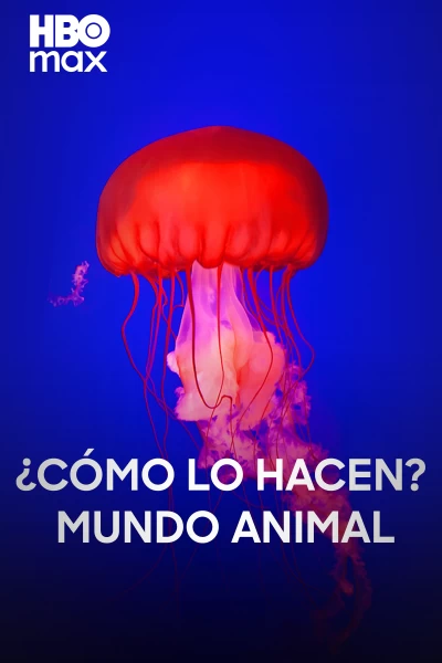 ¿Cómo lo hacen? Mundo animal