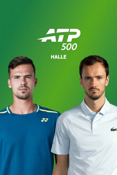 Cuartos de Final. Cuartos de Final: Altmaier - Medvedev