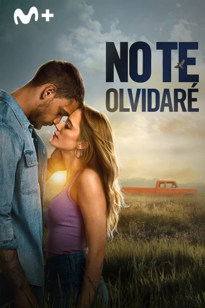 No te olvidaré