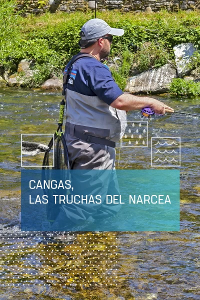 Cangas, las truchas del Narcea