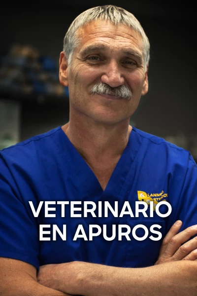 Veterinario en apuros. Veterinario en apuros: Un golpe de mala suerte