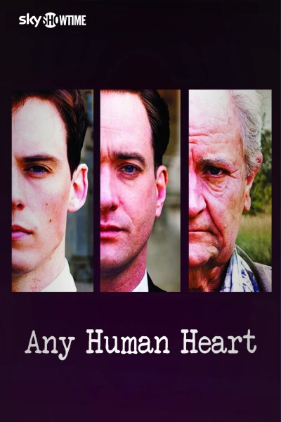 Any Human Heart