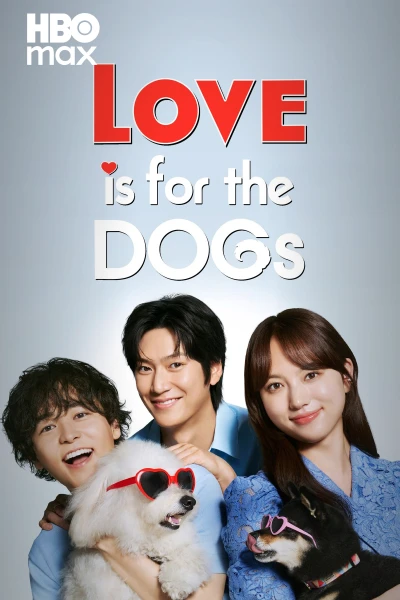 Amores perros