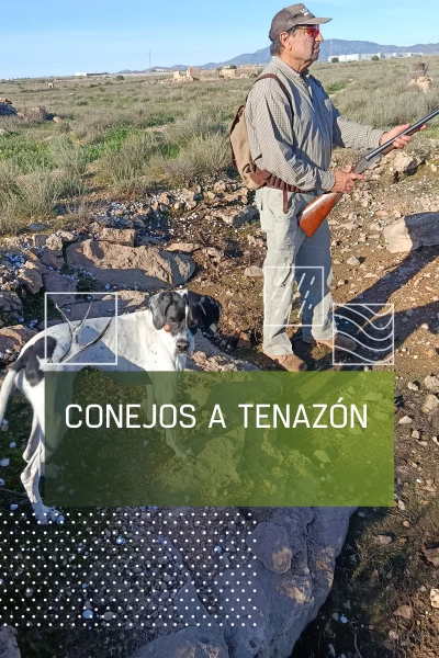 Conejos a tenazón