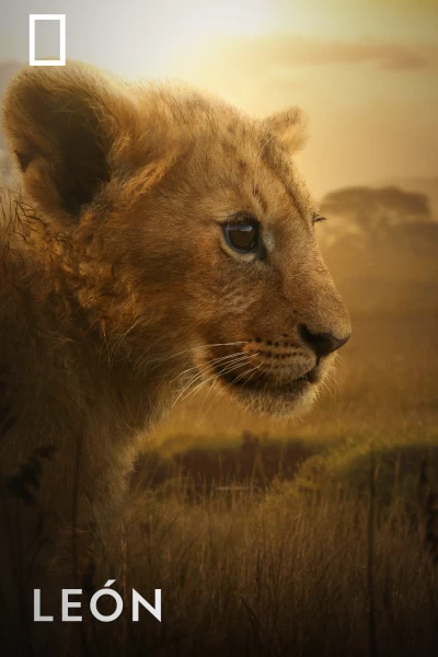 León