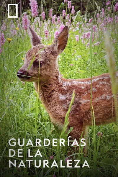 Guarderías de la naturaleza