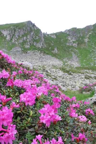 Las cumbres de Europa. Las cumbres de Europa: Primavera