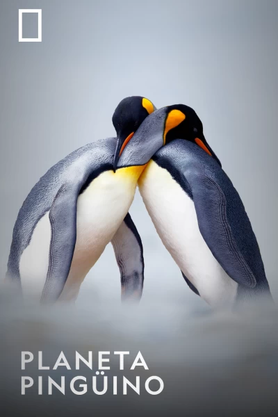 Planeta pingüino