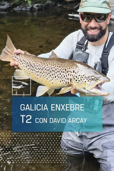 Galicia Enxebre con David Arcay