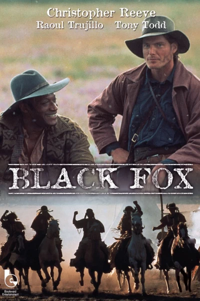 Zorro negro