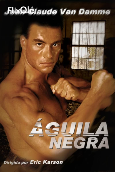 Águila negra