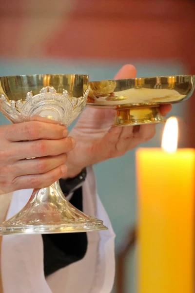 Santa misa ordenación episcopal del Obispo Auxiliar de Bilbao