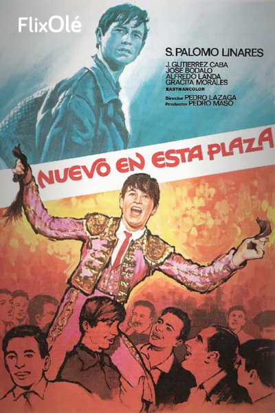 Nuevo en esta plaza