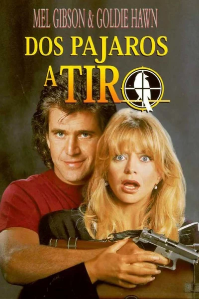 Dos pájaros a tiro