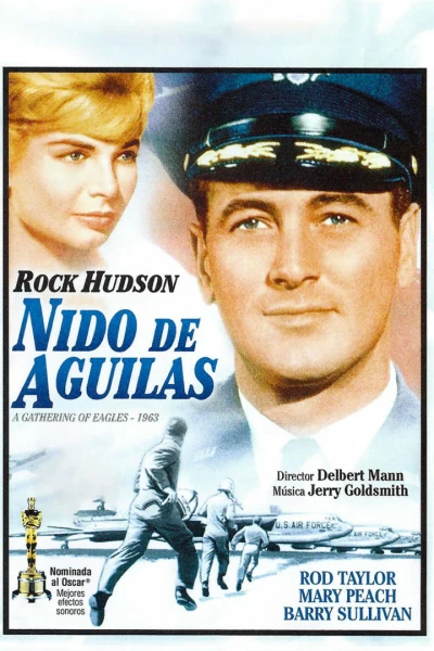 Nido de águilas